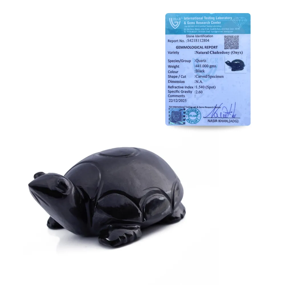 Luxury Black Onyx Turtle Sculpture | Protection Décor - Image 3
