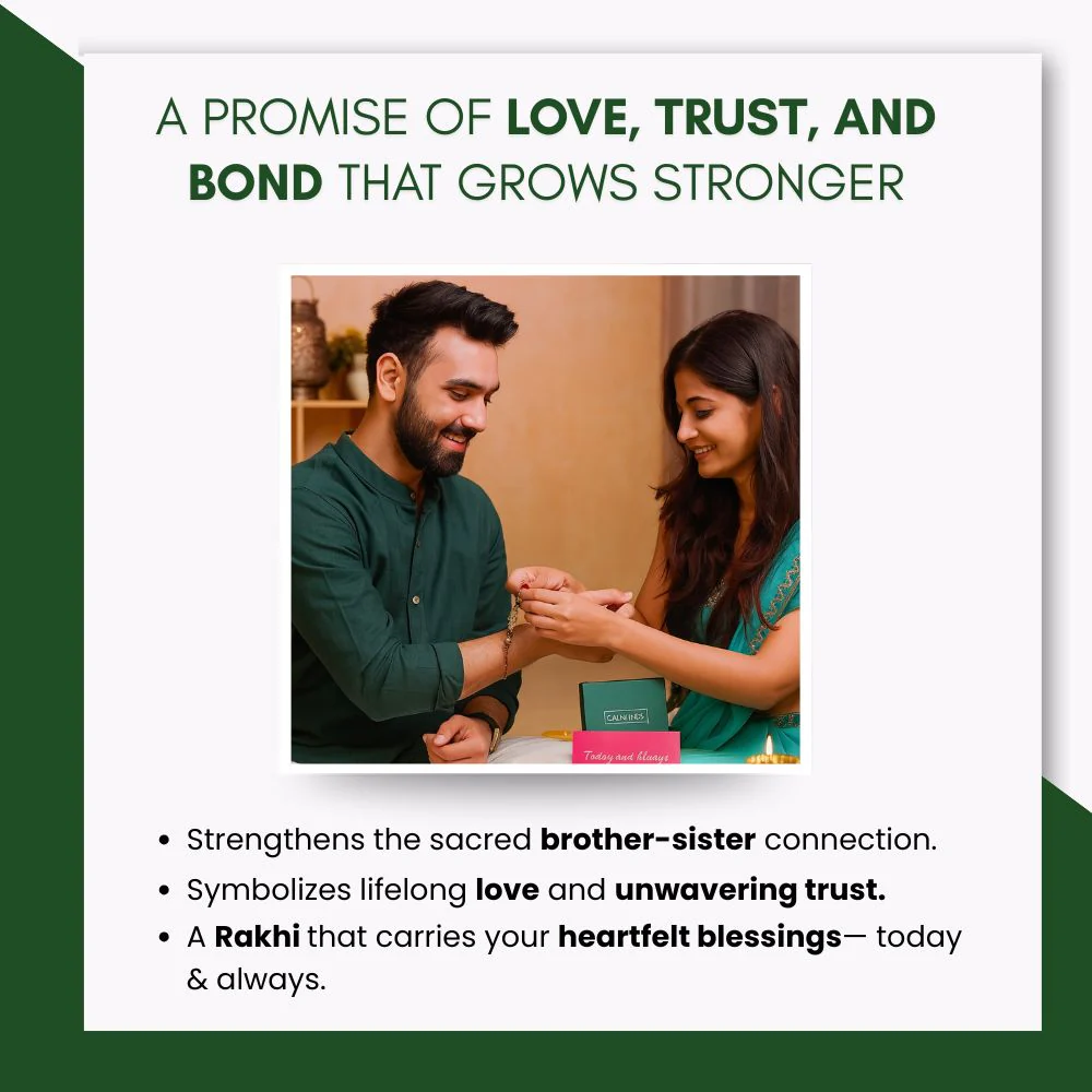 Guardian Shield Rakhi – Protection & Strength - Image 7